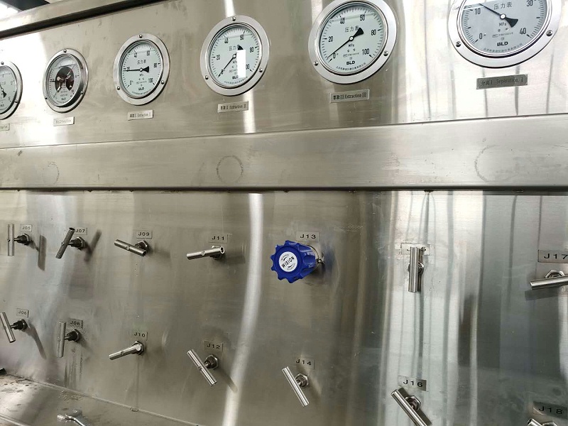 CO2萃取蜜桃国产精品无码视频
