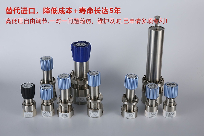衛生型蜜桃国产精品无码视频