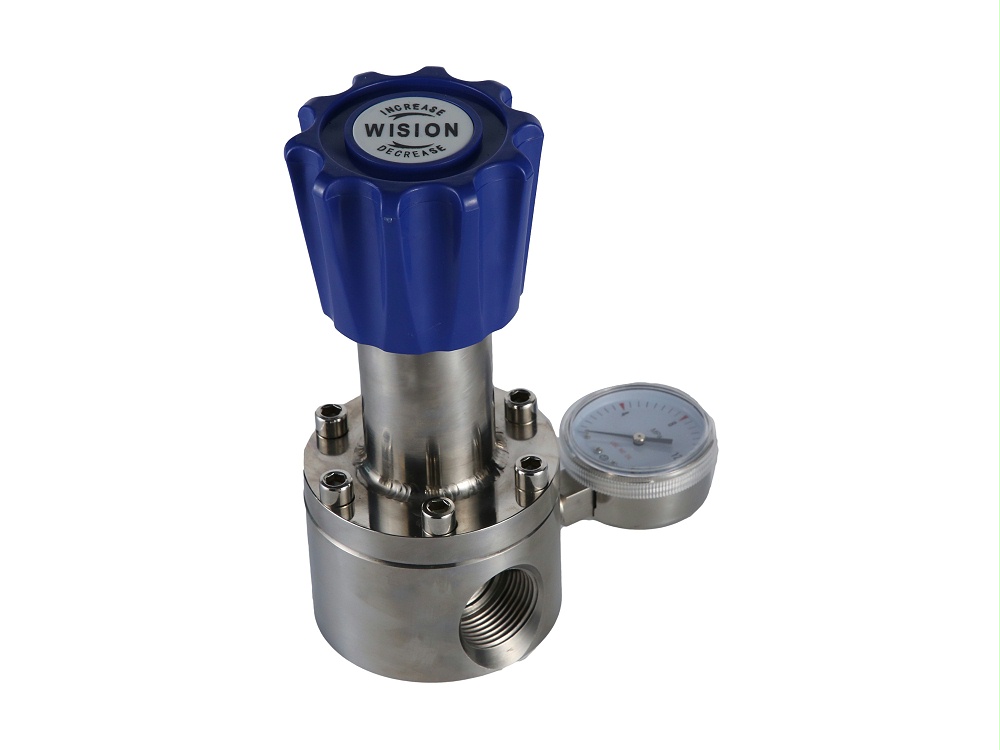 液體蜜桃国产精品无码视频LWBF