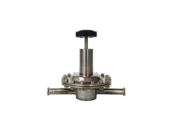 新SR220衛生級蜜桃国产精品无码视频